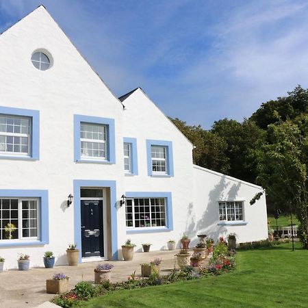 Ty Nant Little Haven Bed and Breakfast Exteriör bild